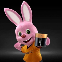 Pile DL223 CRP2 6V 1400mAh Duracell