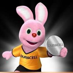 Pile CR2430 3V Lithium Duracell