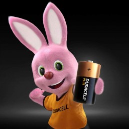 Piles C LR14 Alcalines Duracell PLus
